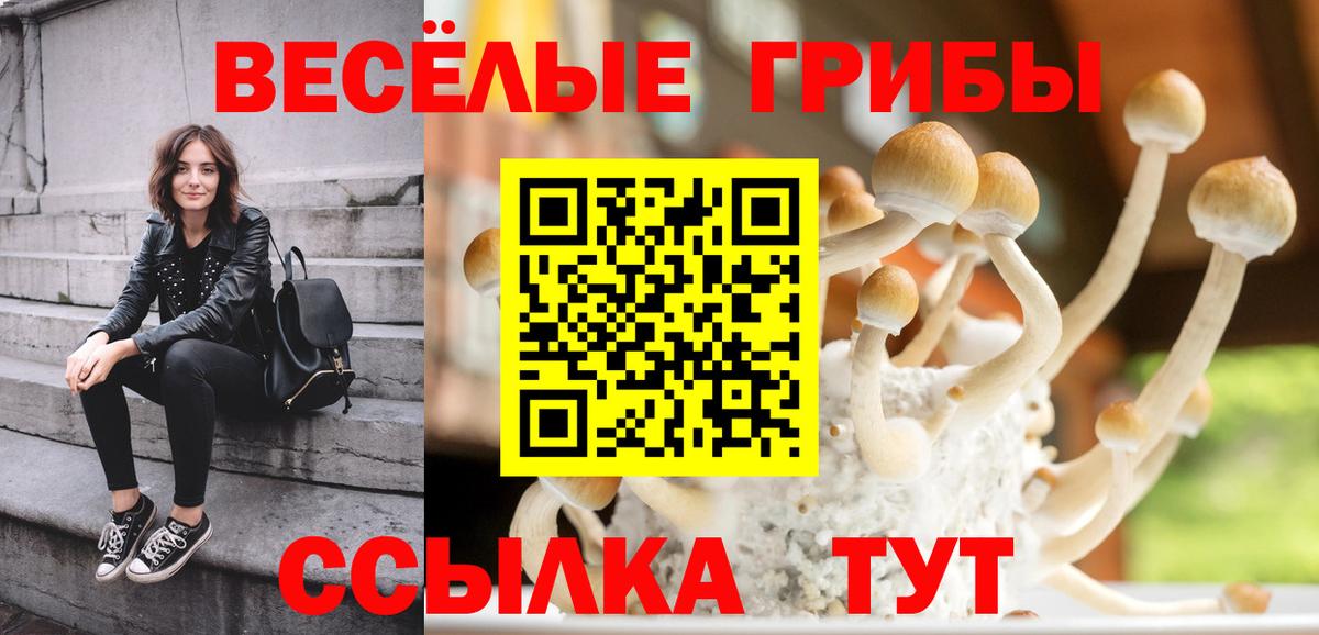 Галлюциногенные грибы прущие грибы Магадан