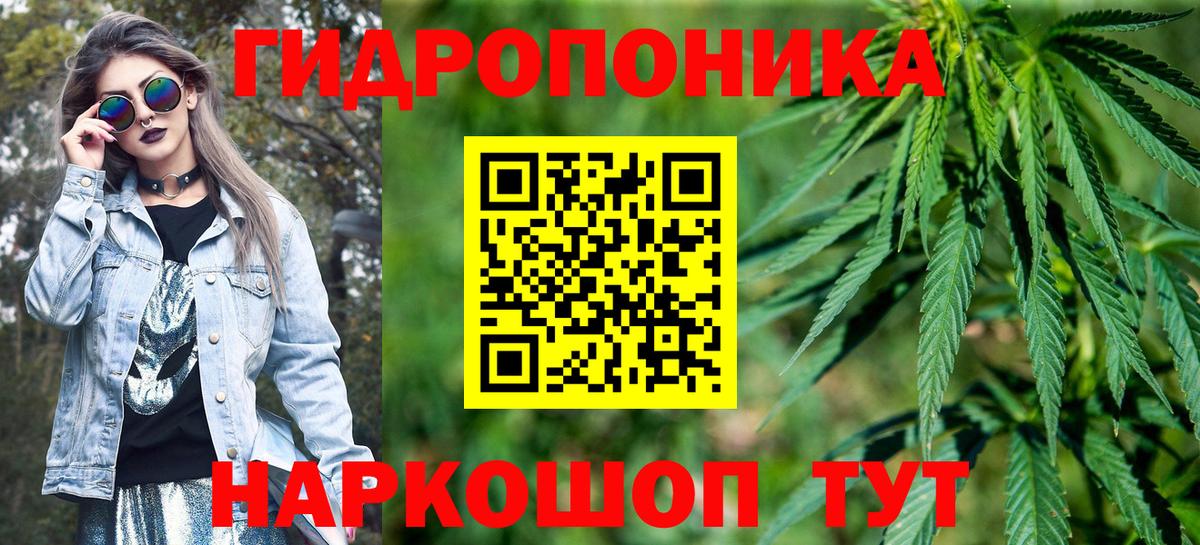 Канабис SATIVA & INDICA Магадан